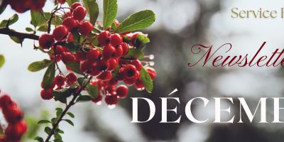 Les dernières actions de l’année – Newsletter de Décembre