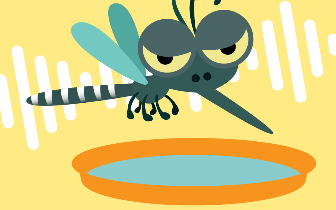 Lutte contre les moustiques : la Ville renforce son plan d’action