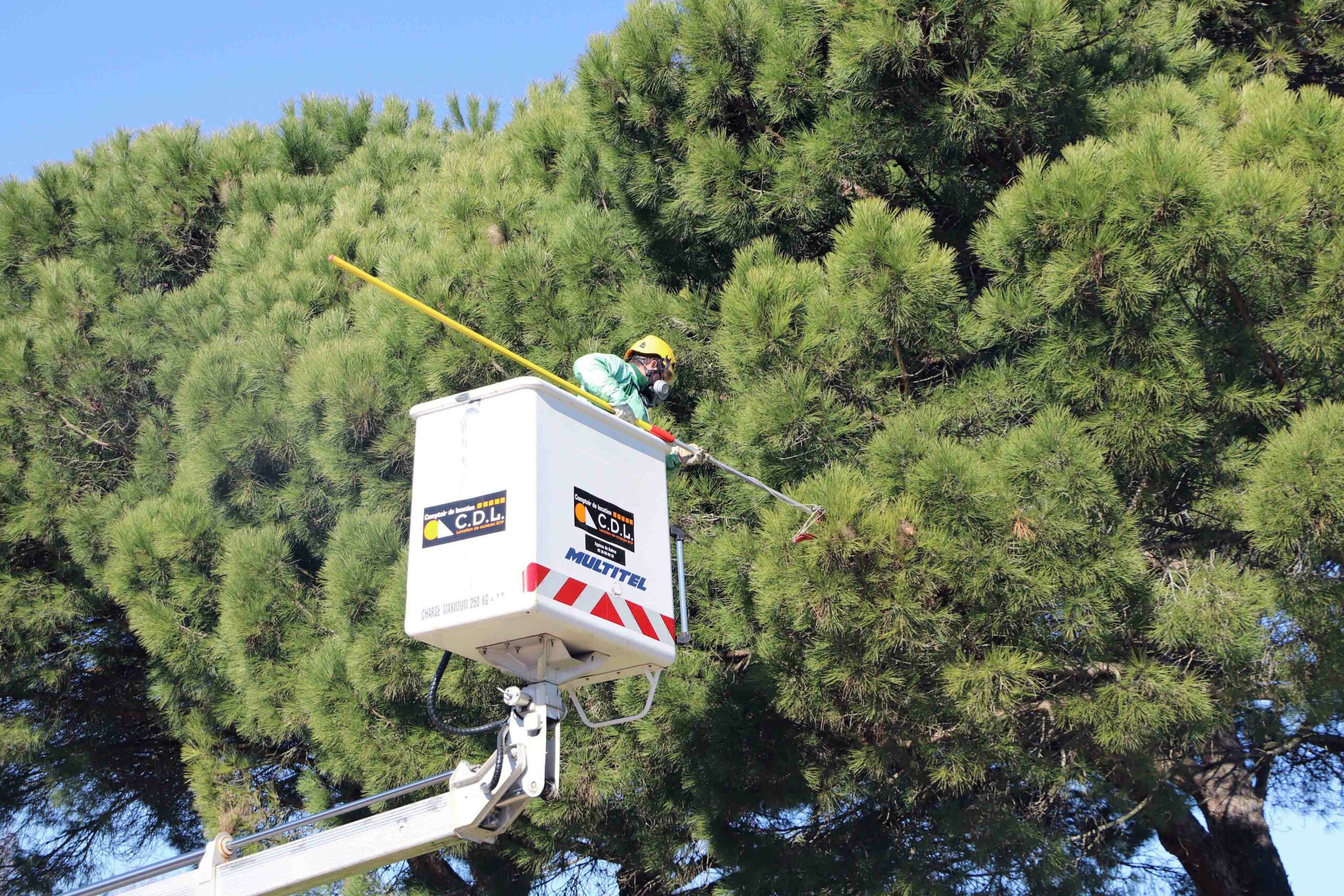 Opération d'échenillage mécanique à Portet Opération d'échenillage mécanique à Portet