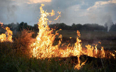Risque incendie : des mesures de restriction s’appliquent