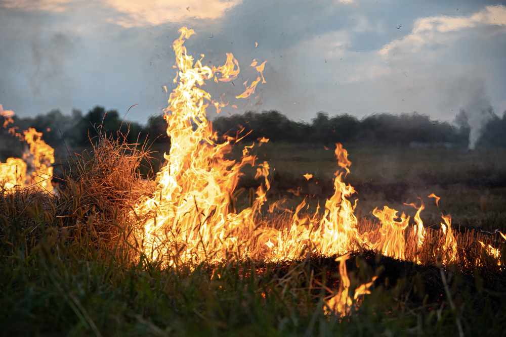 Risque incendie : des mesures de restriction s&rsquo;appliquent