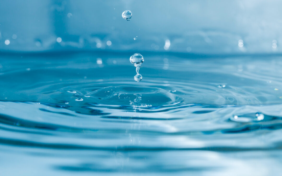 Sécheresse : des mesures de restriction d&rsquo;eau s&rsquo;appliquent