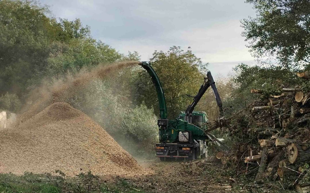 Mise à disposition gratuite de paillage pour les Portésiens